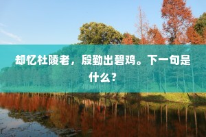 青云杳无路，梦里相往还。上一句是什么？