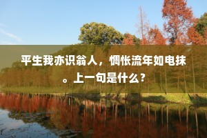 有叟傅岩隐，明时潘鬓苍。全诗是什么？
