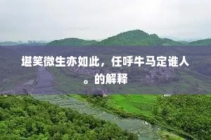 风波相遇皆行迈，死生肯付乾坤外。的解释