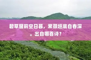 漫漫已分甘长夜，谁料晨鸡亦五更。下一句是什么？