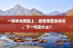 把酒共对之，寄意良匪薄。上一句是什么？
