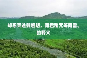 胡能昧其原，畏彼道路长。下一句是什么？