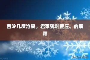 飞雪。飞雪。柳絮漫天时节。的释义