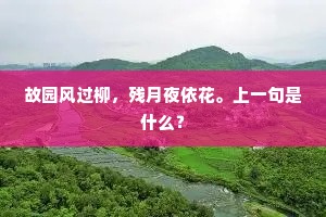 抗疏名高满汉京，寸衷日月可争明。的释义