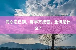北斗横天中，众星朝帝廷。全诗是什么？
