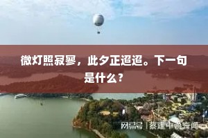 用为良有司，吾实无间然。下一句是什么？