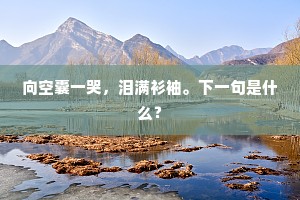 吁谟裨庙算，长策御天骄。的意思及出处