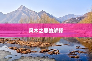 风木之思的解释