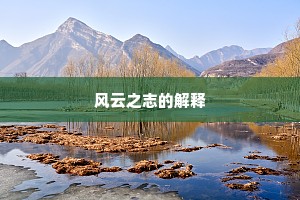 风云之志的解释