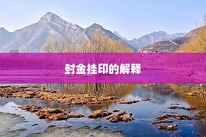 封金挂印的解释