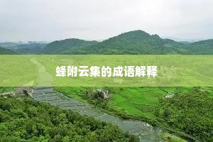 蜂附云集的成语解释