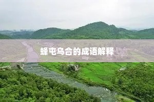 蜂屯乌合的成语解释
