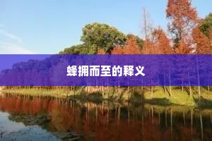 蜂拥而至的释义