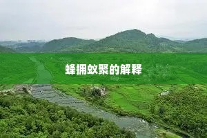 蜂拥蚁聚的解释