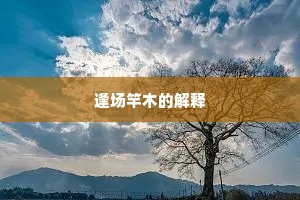 逢场竿木的解释