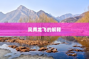 凤舞龙飞的解释