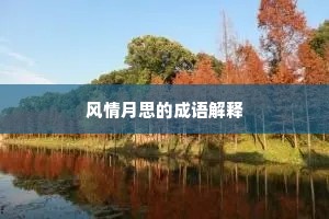 风情月思的成语解释