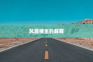 风趣横生的解释
