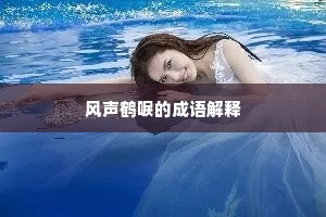 风声鹤唳的成语解释