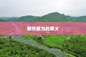 敢作敢为的释义