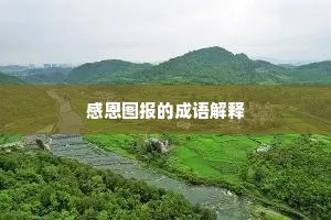 感恩图报的成语解释