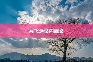 高飞远遁的释义