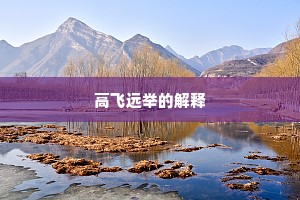 高飞远举的解释