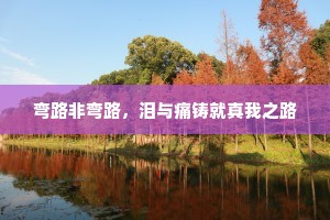 弯路非弯路，泪与痛铸就真我之路