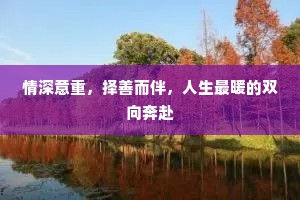 情深意重，择善而伴，人生最暖的双向奔赴