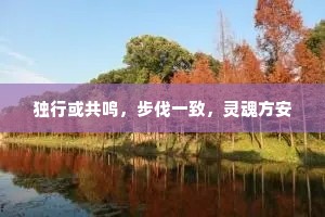 独行或共鸣，步伐一致，灵魂方安