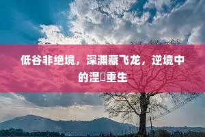 低谷非绝境，深渊藏飞龙，逆境中的涅槃重生