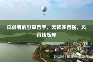 孤勇者的野草哲学，无依亦自强，风雨铸辉煌