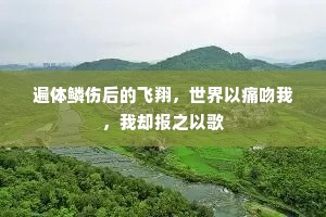 遍体鳞伤后的飞翔，世界以痛吻我，我却报之以歌
