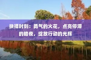 抉择时刻：勇气的火花，点亮停滞的暗夜，绽放行动的光辉