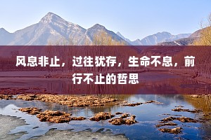 风息非止，过往犹存，生命不息，前行不止的哲思