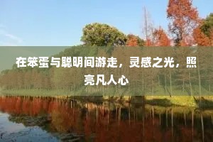 在笨蛋与聪明间游走，灵感之光，照亮凡人心