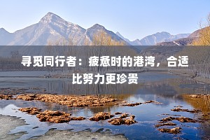 寻觅同行者：疲惫时的港湾，合适比努力更珍贵