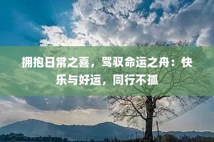 拥抱日常之喜，驾驭命运之舟：快乐与好运，同行不孤