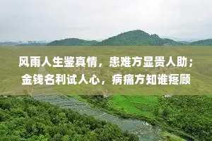 风雨人生鉴真情，患难方显贵人助；金钱名利试人心，病痛方知谁疼顾；历经沧桑辨善恶，终见彩虹心更固