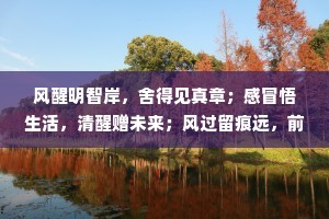 风醒明智岸，舍得见真章；感冒悟生活，清醒赠未来；风过留痕远，前行更辉煌