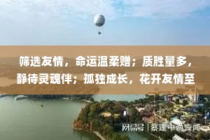 筛选友情，命运温柔赠；质胜量多，静待灵魂伴；孤独成长，花开友情至