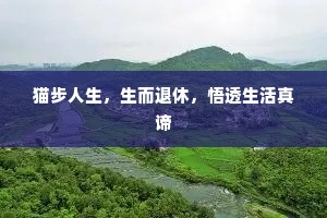 猫步人生，生而退休，悟透生活真谛