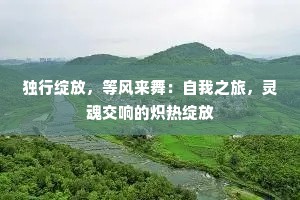 独行绽放，等风来舞：自我之旅，灵魂交响的炽热绽放