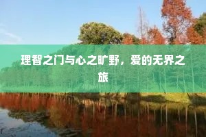 理智之门与心之旷野，爱的无界之旅