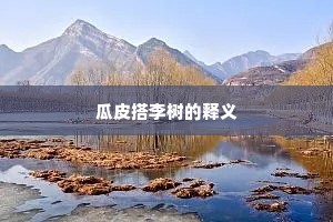瓜皮搭李树的释义