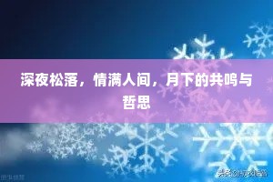 深夜松落，情满人间，月下的共鸣与哲思