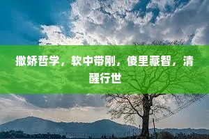 撒娇哲学，软中带刚，傻里藏智，清醒行世