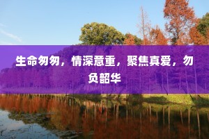 生命匆匆，情深意重，聚焦真爱，勿负韶华