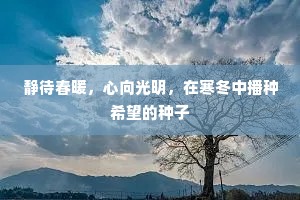 静待春暖，心向光明，在寒冬中播种希望的种子