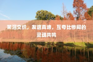 笑泪交织，友谊真谛，互夸比惨间的灵魂共鸣